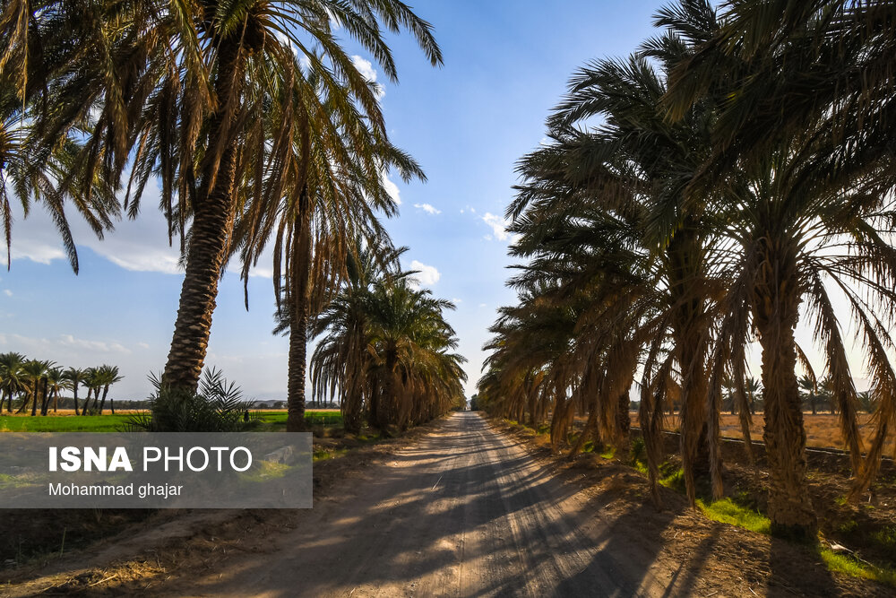 ایران زیبا؛ کویر بکر و دیدنی «ریگ ملک»