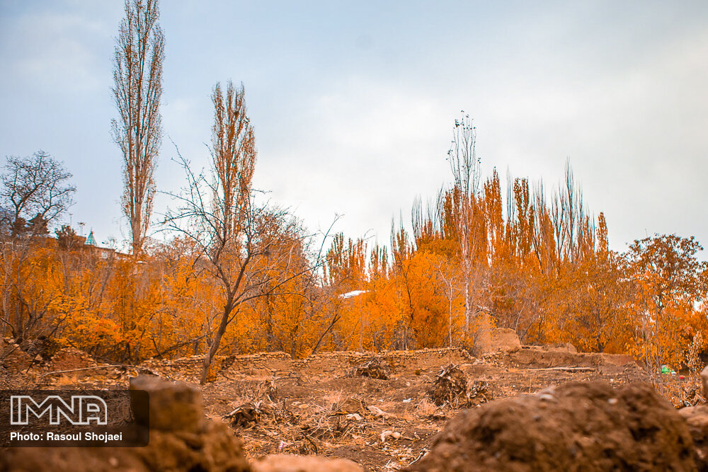 عکس/ پاییز طلایی در «روستای ابیانه» اصفهان