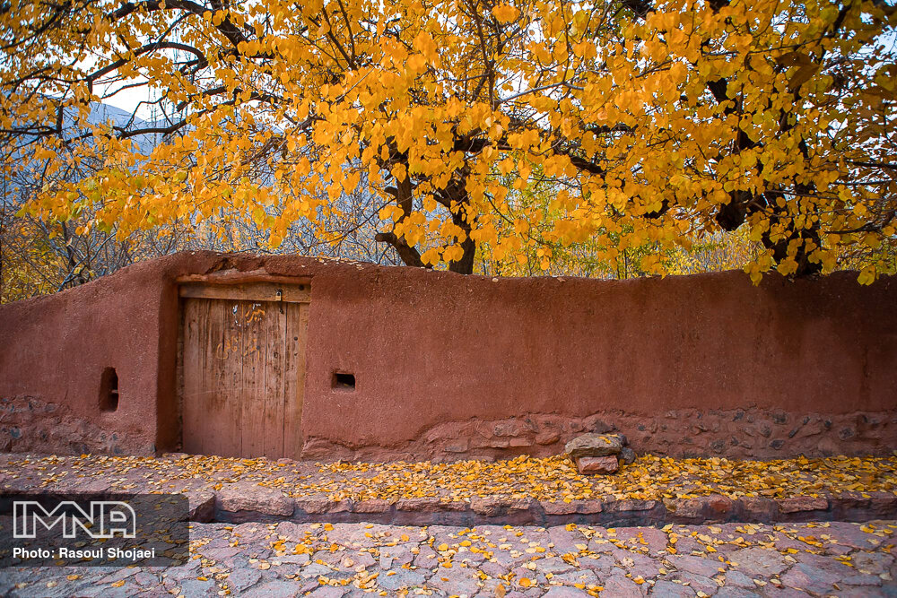 عکس/ پاییز طلایی در «روستای ابیانه» اصفهان