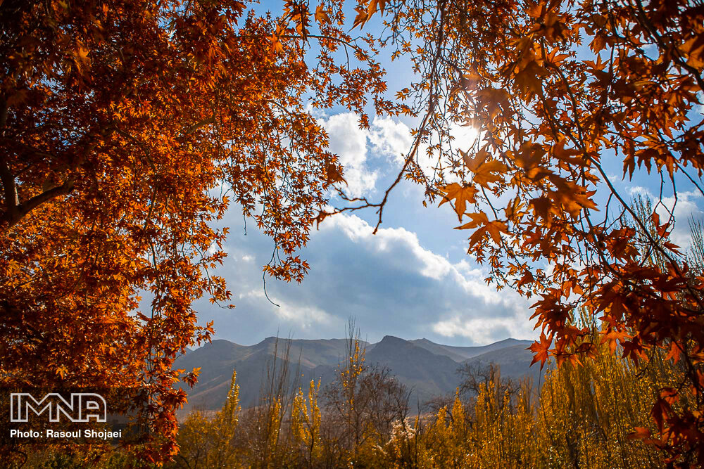 عکس/ پاییز طلایی در «روستای ابیانه» اصفهان