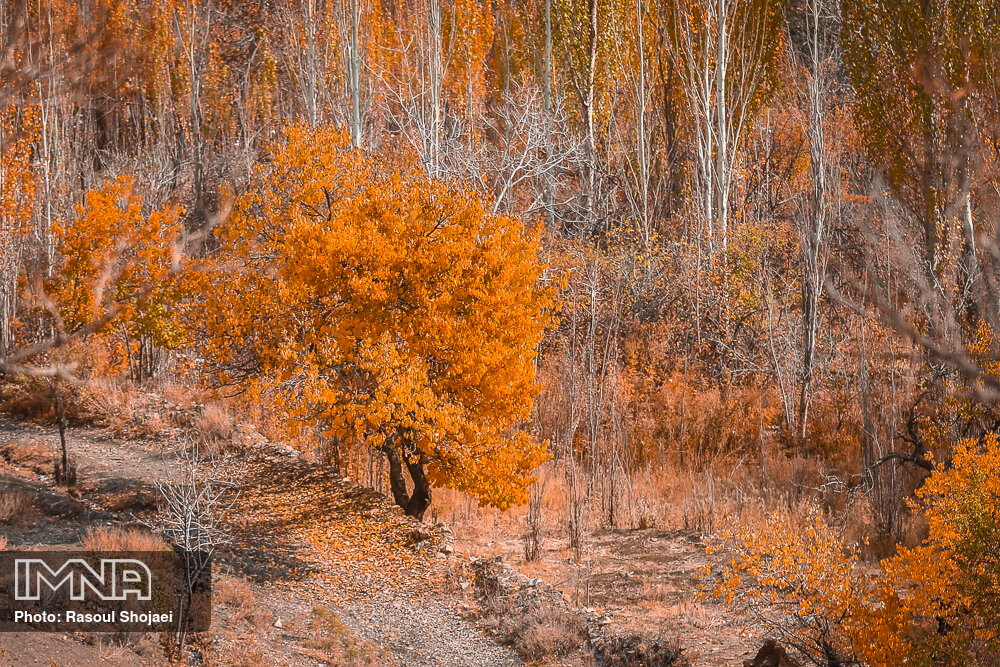 عکس/ پاییز طلایی در «روستای ابیانه» اصفهان