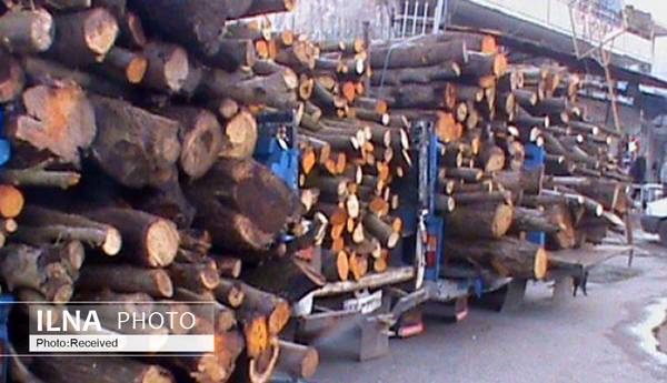 بیش از ۶ تن چوب قاچاق در آوج کشف شد