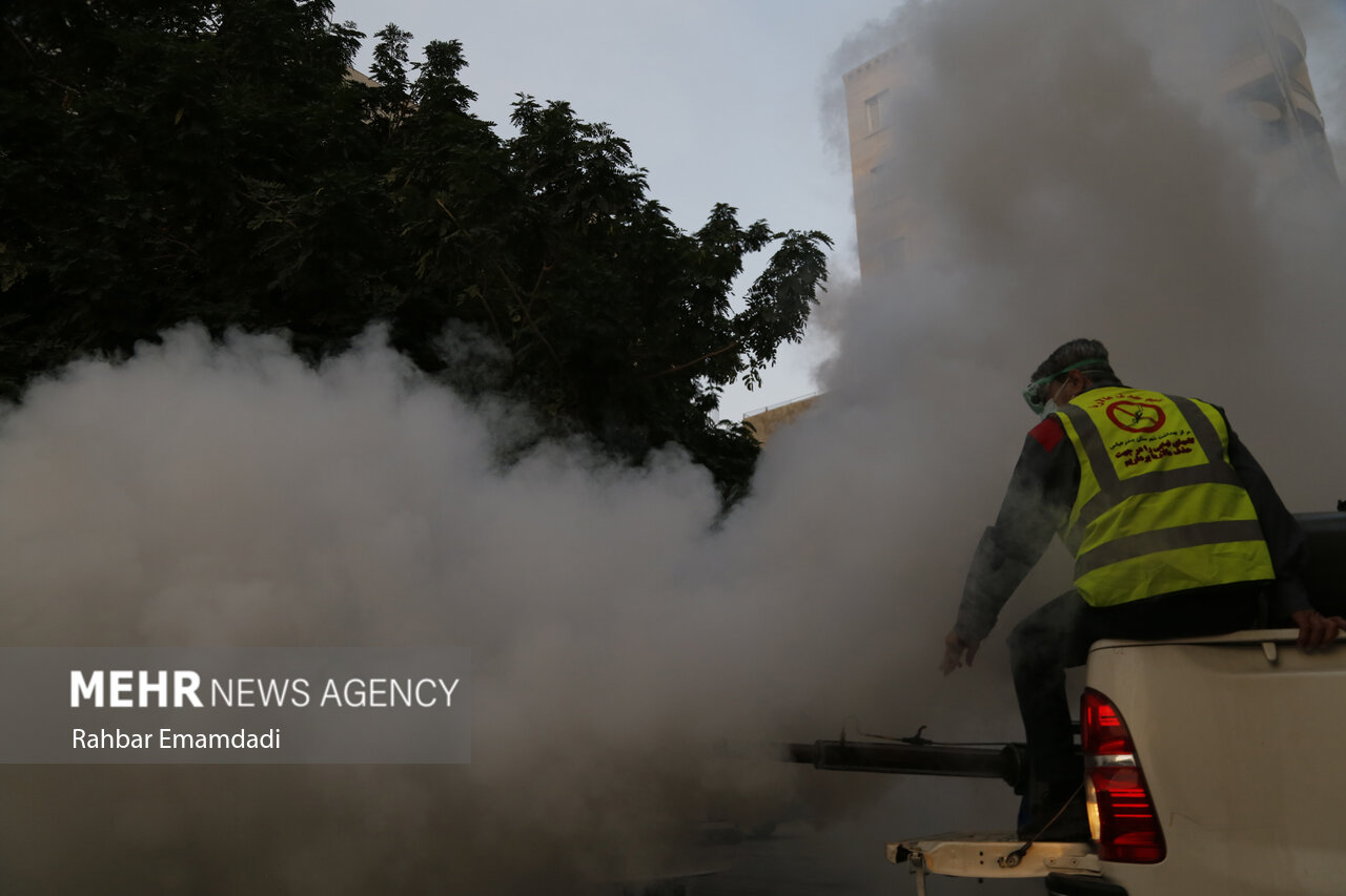 عکس/ مه‌پاشی علیه پشه «آئدس» در شهر بندرعباس