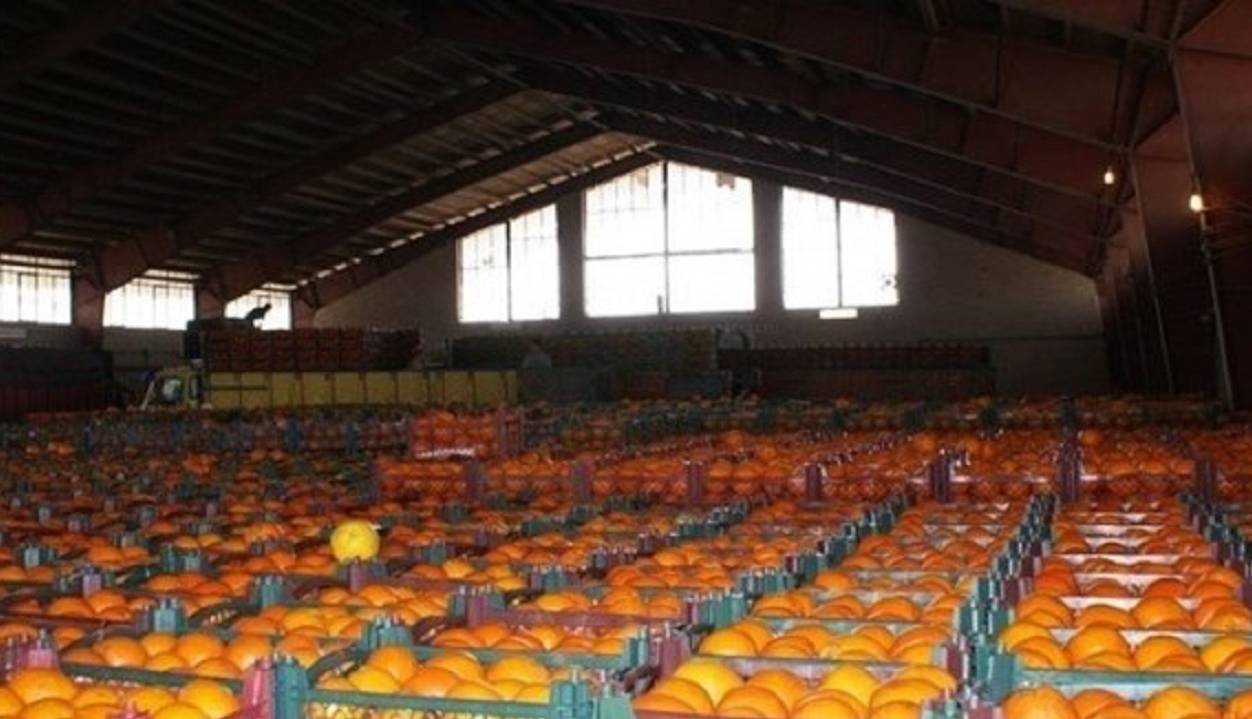 راه اندازی ۴ سردخانه محصولات کشاورزی در گیلان