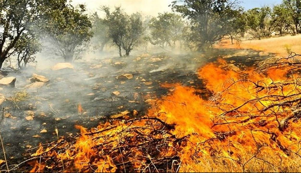 وقوع ۱۷ فقره آتش سوزی در جنگل‌های گلستان