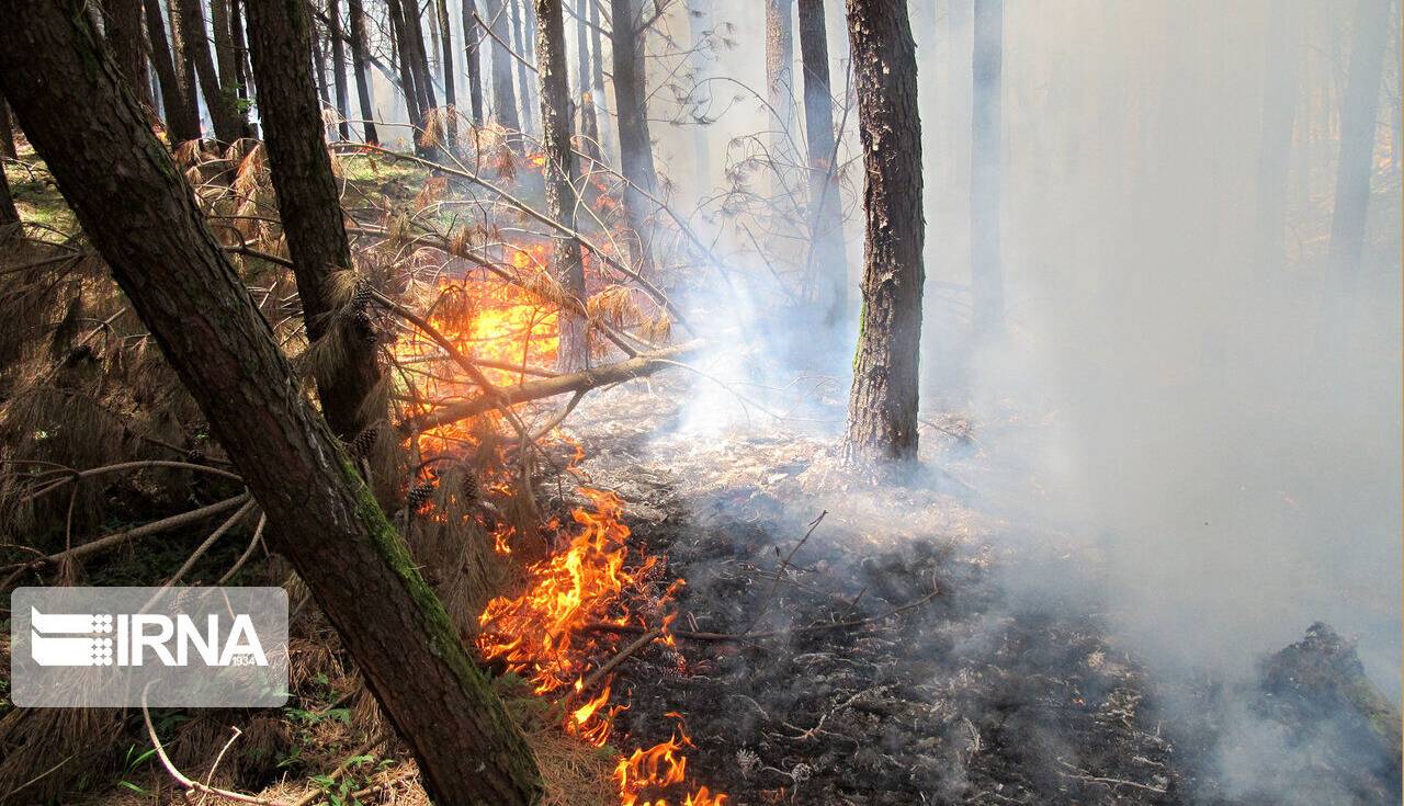۱۶ هزار متر مربع از جنگل‌های گیلان بر اثر وزش باد گرم دچار حریق شد