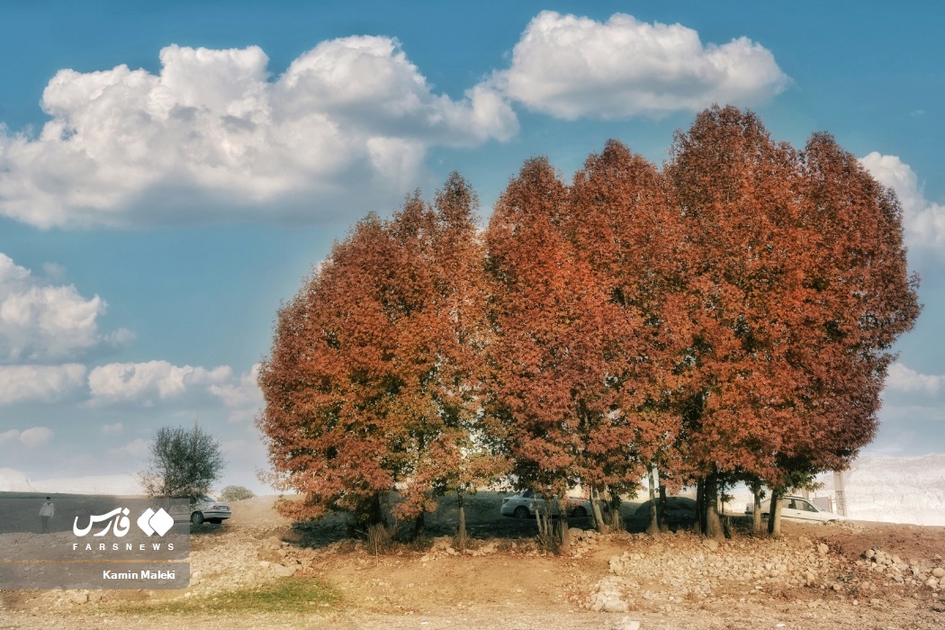 پاییز رنگارنگ چگنی