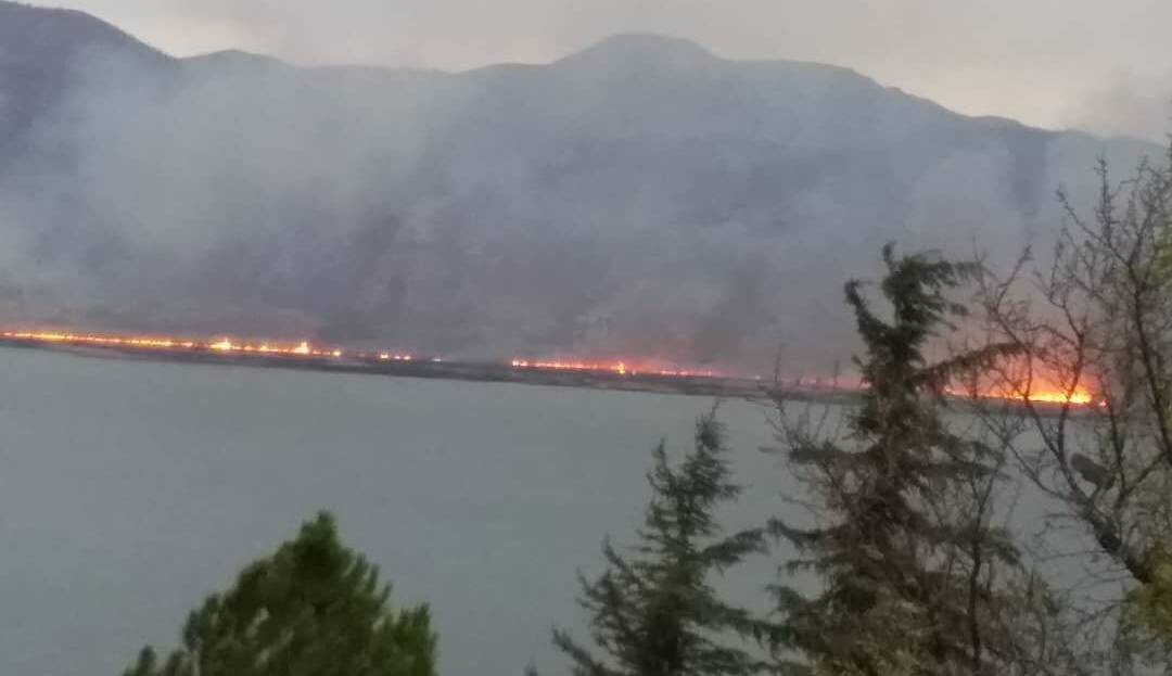 آتش‌سوزی گسترده نیزارهای دریاچه زریبار مریوان ادامه دارد