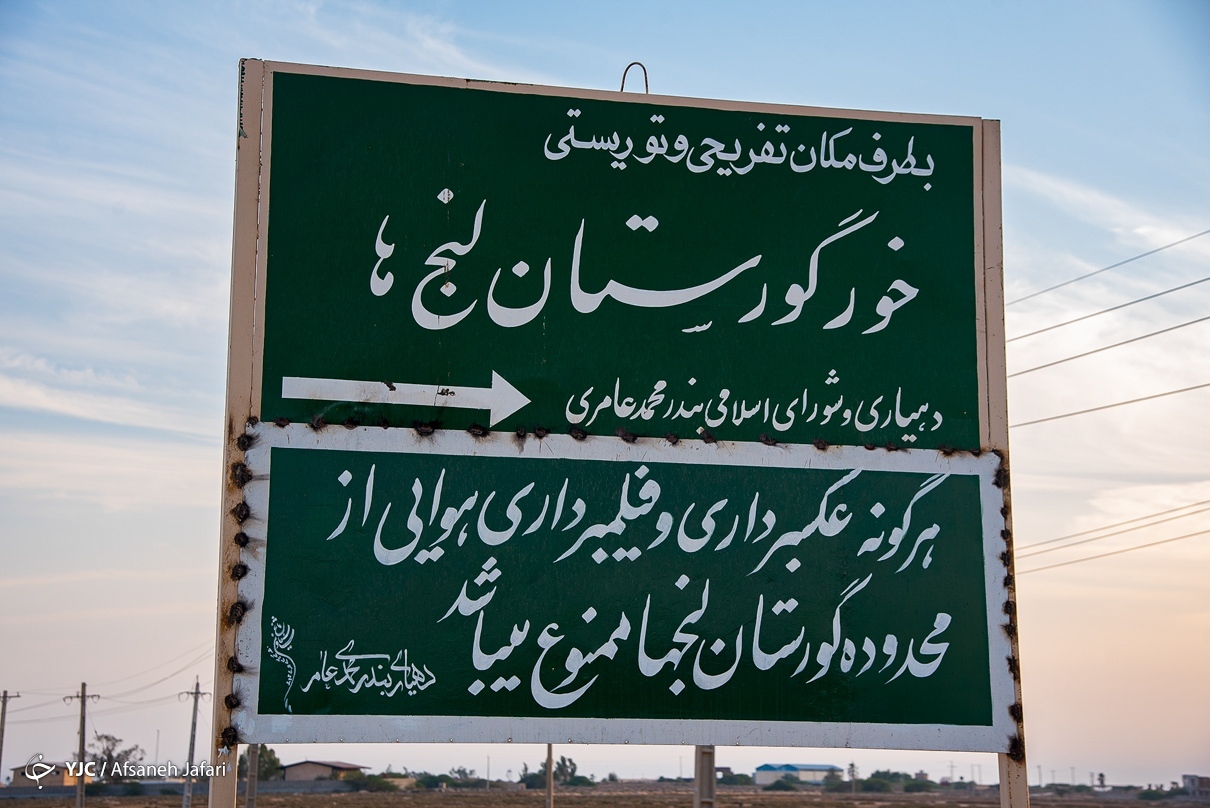 گورستان لنج‌ها؛ بندر عامری