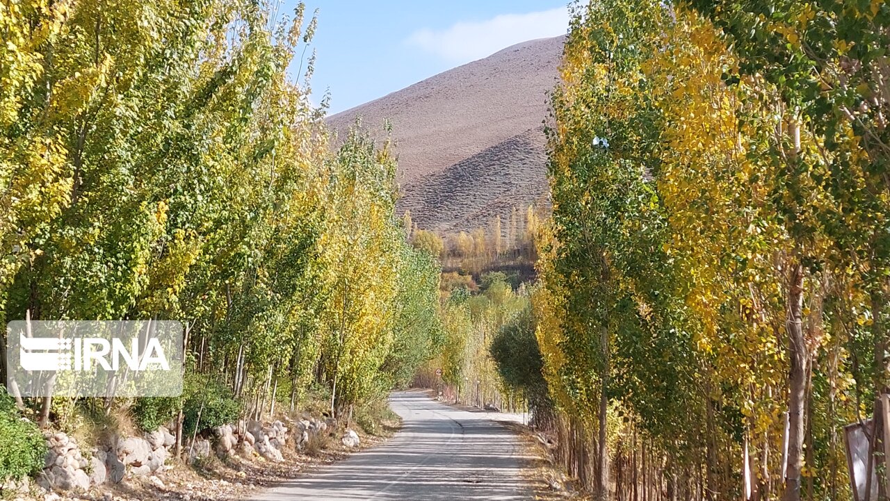 جلوه‌ای زیبا از طبیعت پاییزی ملایر