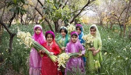 جشنواره گل نرگس در خفر فارس برگزار می‌شود