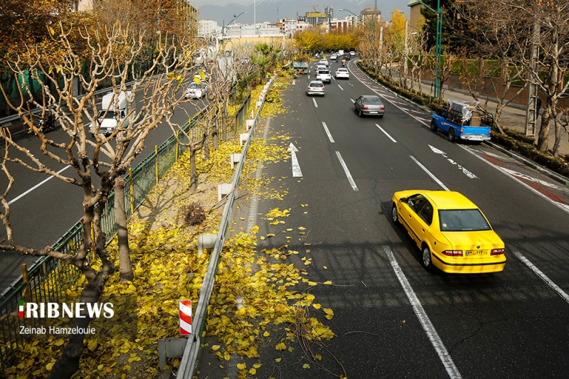 عکس/ پیرایش زمستانه درختان اتوبان‌های تهران