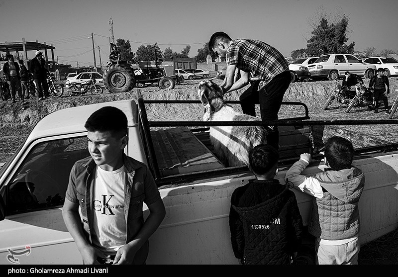 گورِش؛ کشتی سنتی ترکمن ها 
