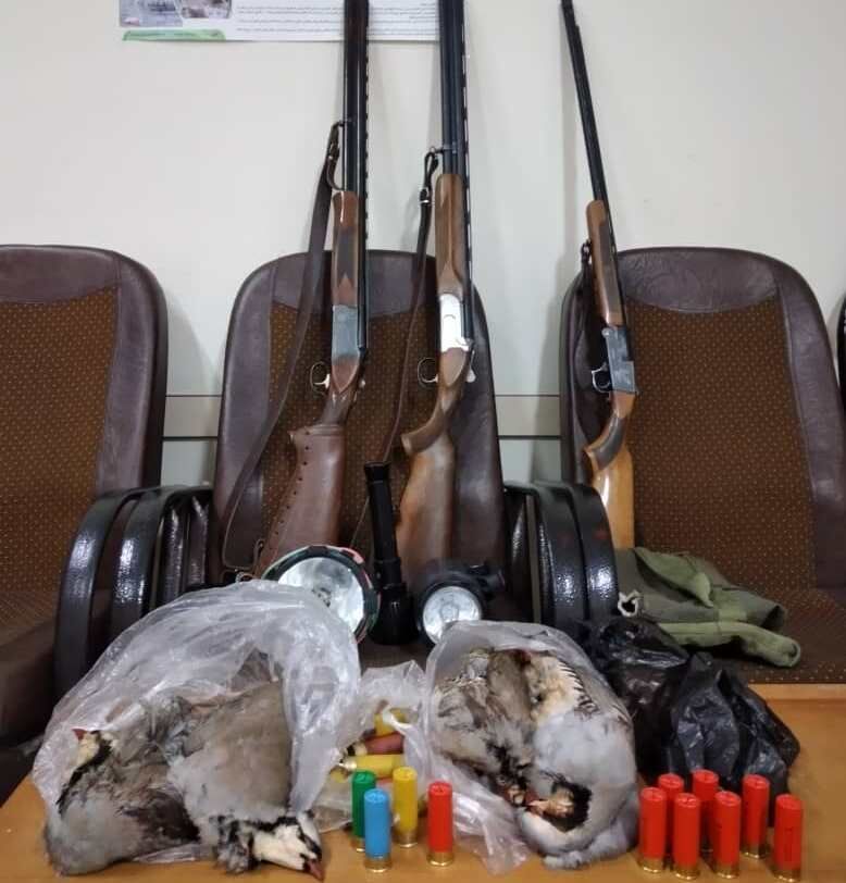 شکارچیان ۵ قطعه کبک در ابهر دستگیر شدند