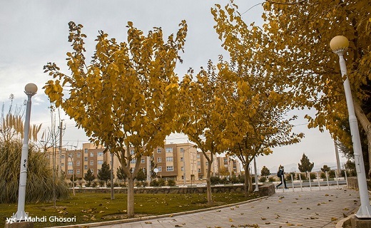 پاییز هزار رنگ پردیسان از قاب دوربین