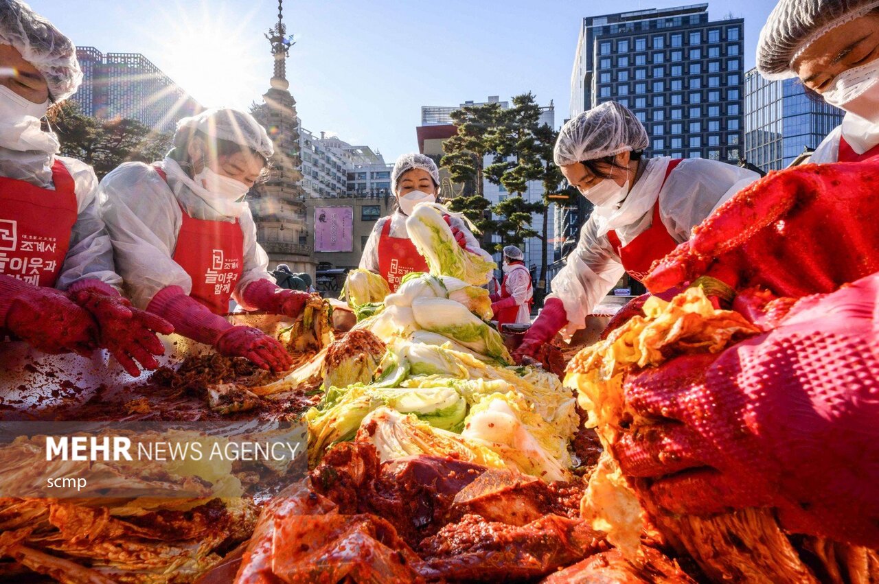 جشنواره بزرگ تهیه خوراک کیمچی در کره جنوبی