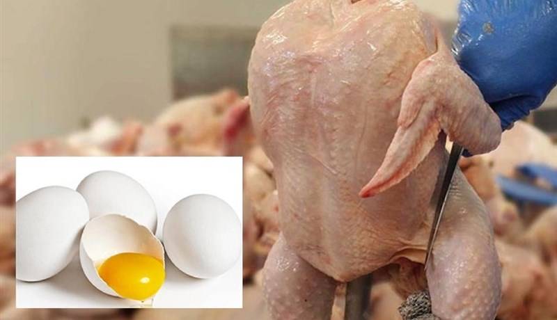 بازار مرغ و تخم‌مرغ بعد از یک سال تنظیم شد