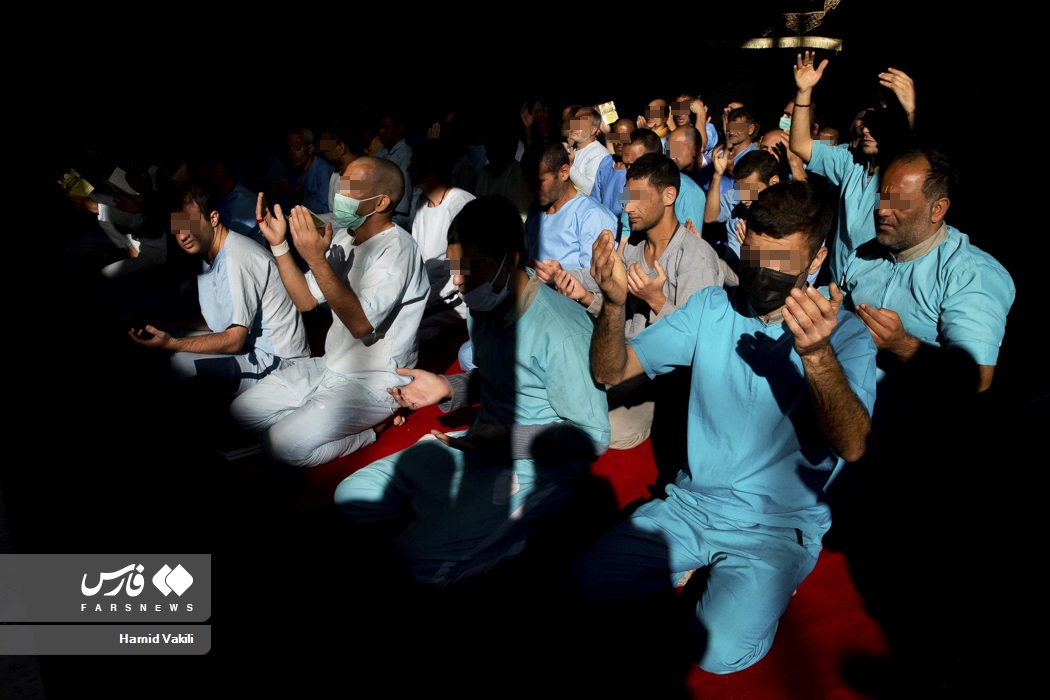 عکس/ آنچه در مرکز بازپروری می گذرد