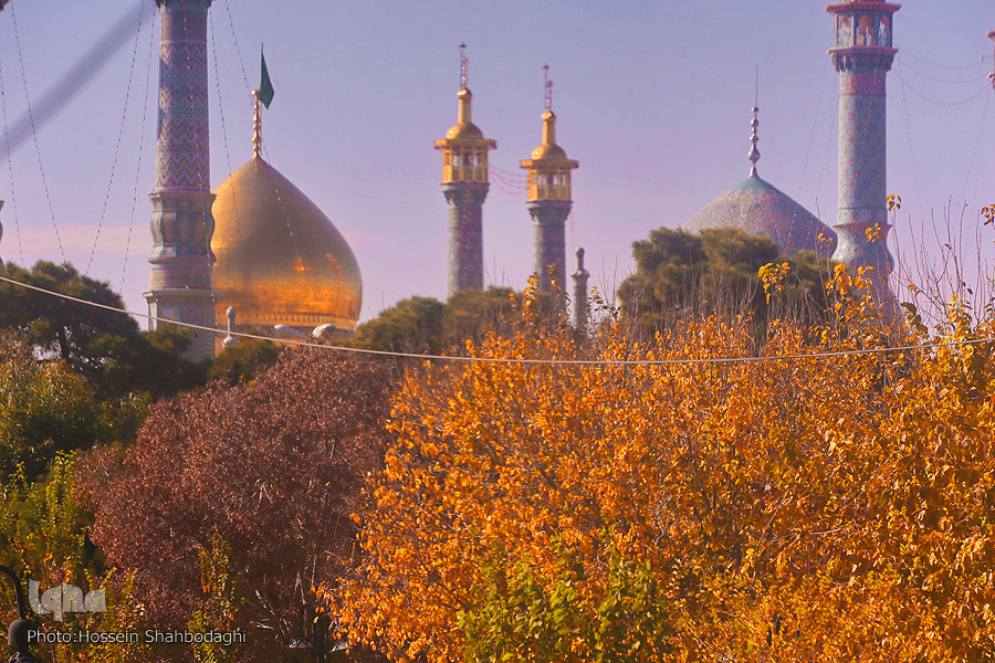 عکس/ جلوه‌هایی از طبیعت پاییزی استان قم