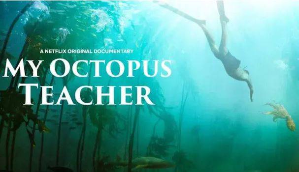 «معلم اختاپوس من» بهترین مستند اسکار 2021 به شبکه چهار می آید