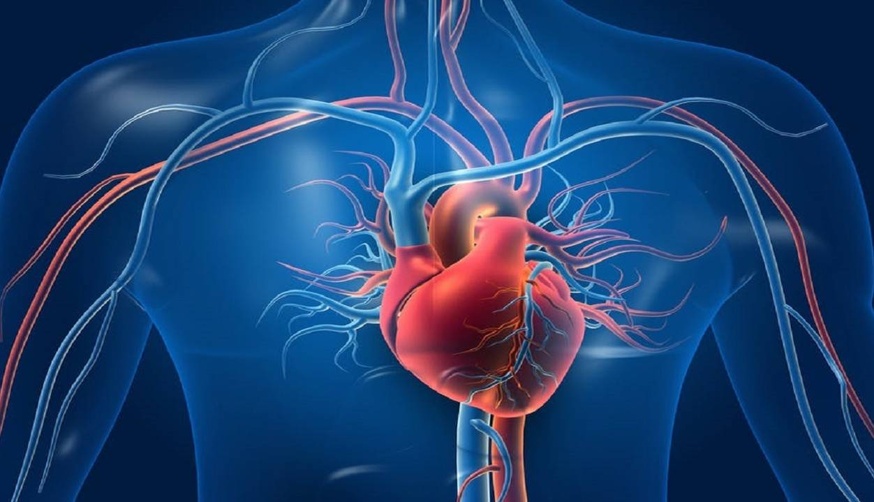 یافته دانشمندان درباره تأثیر داروی دیابت بر درمان نارسایی قلبی