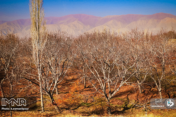 طبیعت پاییزی روستاهای تسوج در آذربایجان شرقی