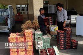 میدان جدید میوهوترهبار پارسآباد جانمایی میشود