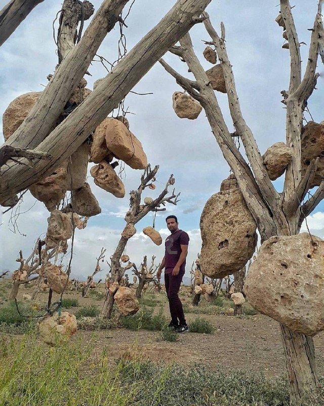 گردشگری/ باغِ اسرارآمیزِ سنگی در سیرجان