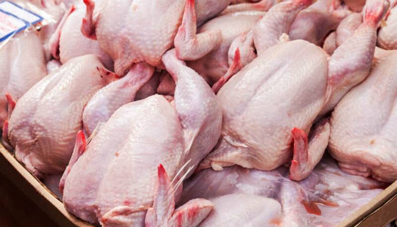 عرضه مرغ گرم کیلویی ۳۰ هزار تومان در سمنان