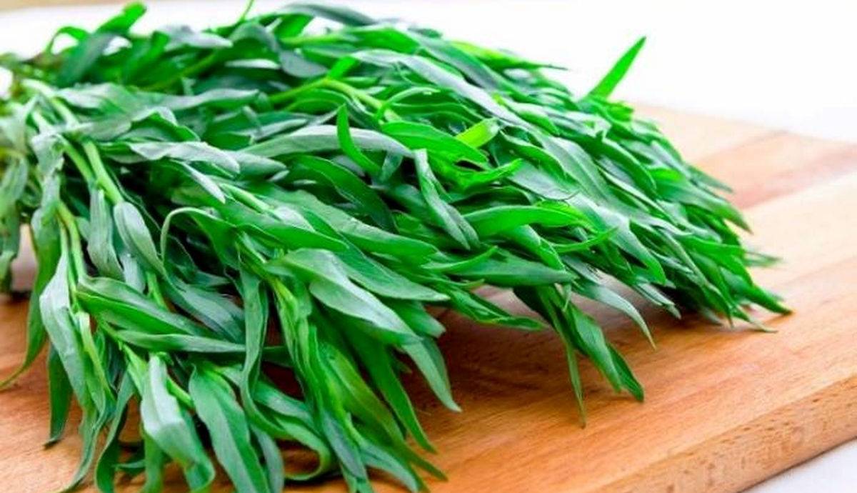 ضربه فنی تیروئید و فشار خون با این گیاه!