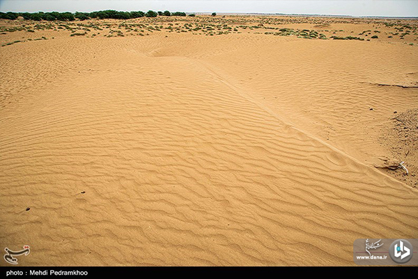 تصاویر/ رویای آب در سرزمین کارون