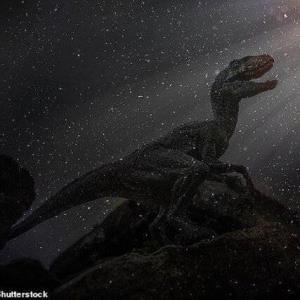 ۲ سال خاموشی مطلق پس از برخورد سیارک منقرض کننده دایناسورها با زمین