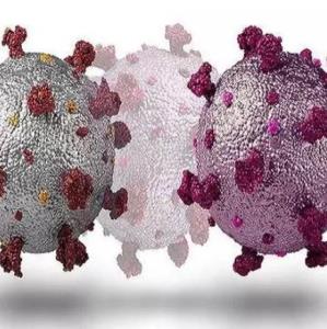 کرونا/ توانایی سلول های T سیستم ایمنی در مقابله با سویه اومیکرون  