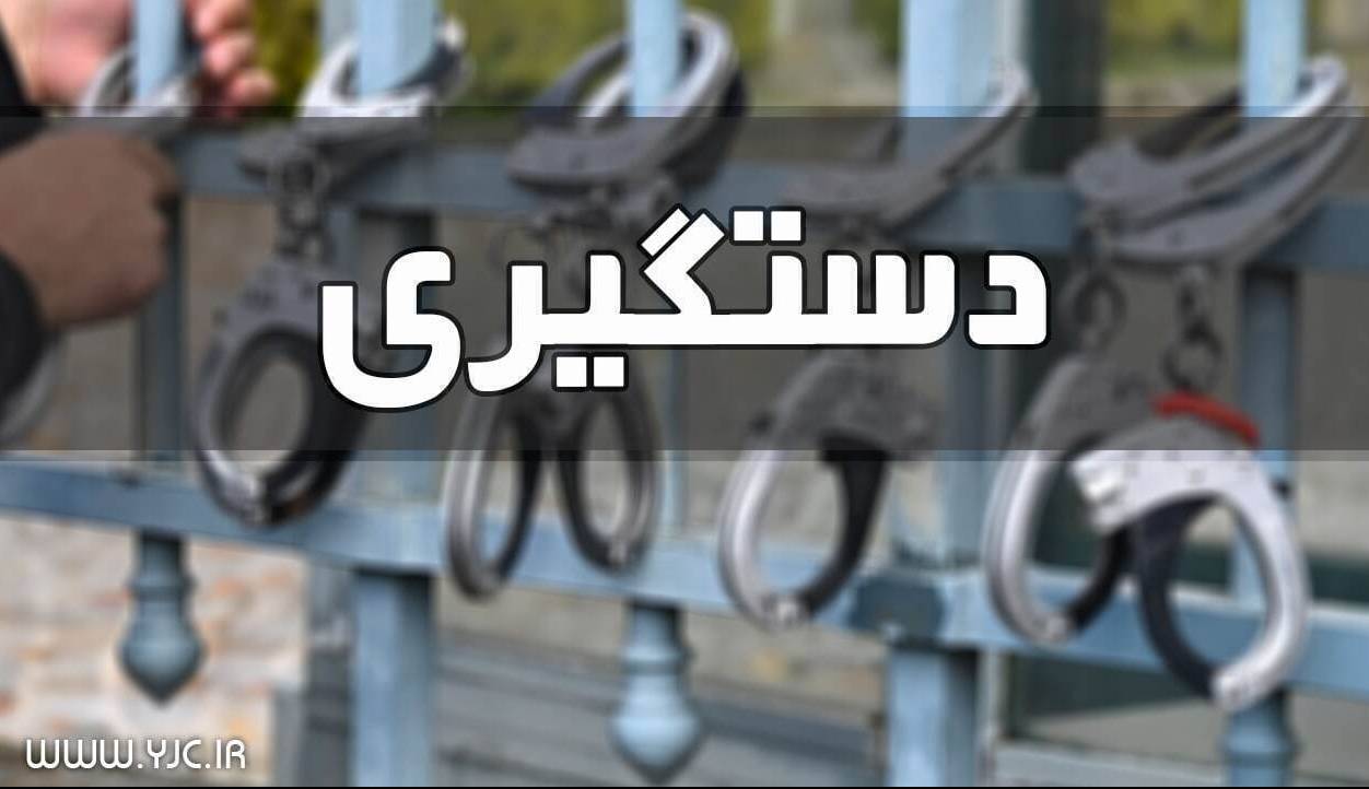 سارقان سابقه‌دار در شیروان دستگیر شدند