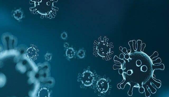 افزایش آمار مبتلایان و بستری بیماران کرونایی در لرستان