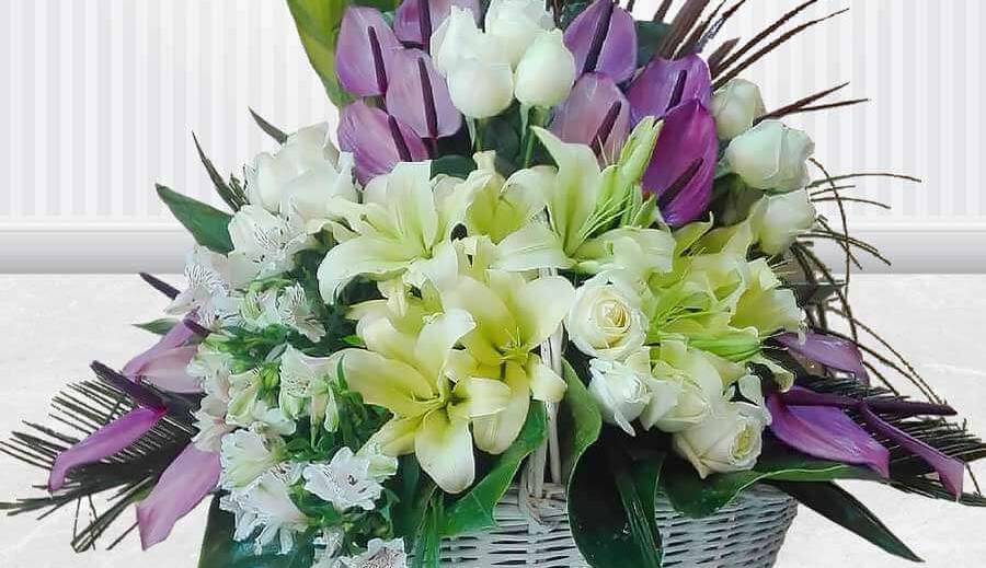 گوناگون/ برای خواستگاری چه گلی ببریم؟