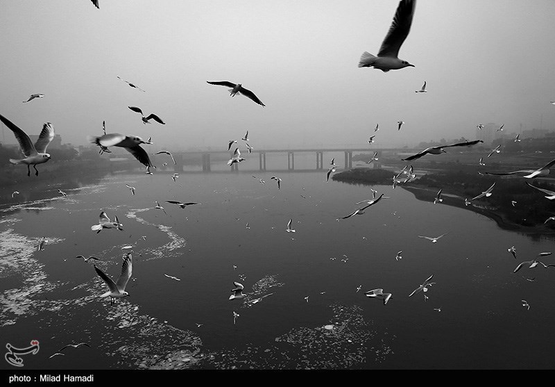 عکس/ هوای مه آلود در خوزستان