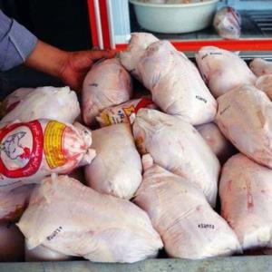 رئیس اتحادیه: عرضه مرغ با کمتر از نرخ مصوب؛ بازار آرام گرفت