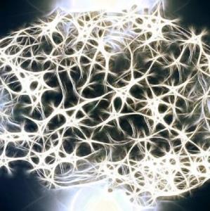 کشف جدیدی در مورد ارتباط میان رشد سلول‌های مغز و ابتلا به اسکیزوفرنی
