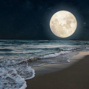 بامداد فردا؛ وقوع ماه کامل و مقارنه پلوتون با خورشید