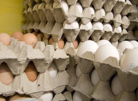 توزیع تخم مرغ تنظیم بازار در خراسان شمالی از امروز
