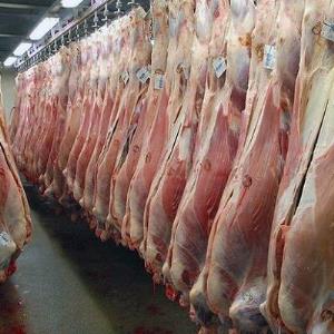 قیمت گوشت قرمز در استان سمنان کیلویی ۱۳۵ هزار تومان شد