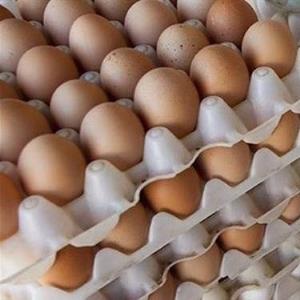 کشف انبارهای تخم مرغ و کالاهای اساسی در کرمانشاه