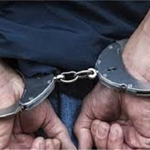 کشف ۸۰ سرقت در بجنورد؛ ۴ سارق و ۱۷ مالخر دستگیر شدند