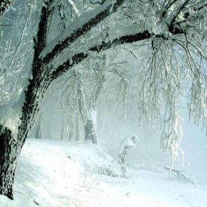 نماهنگ مازندرانی «برف و زمستان» با صدای رسول نیازمند 