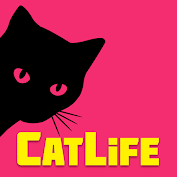 CatLife: BitLife Cats؛ سری به زندگی گربه‌ها بزنید