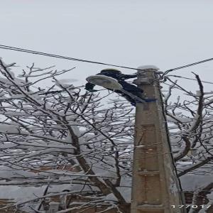 شبکه برق ۷ روستای کردستان همچنان قطع است