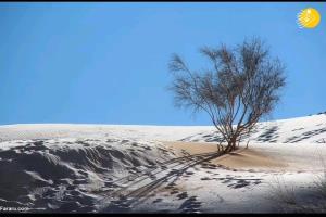 برف در صحرای بزرگ جهان در عین العرب 🌨️🌨️🌨️