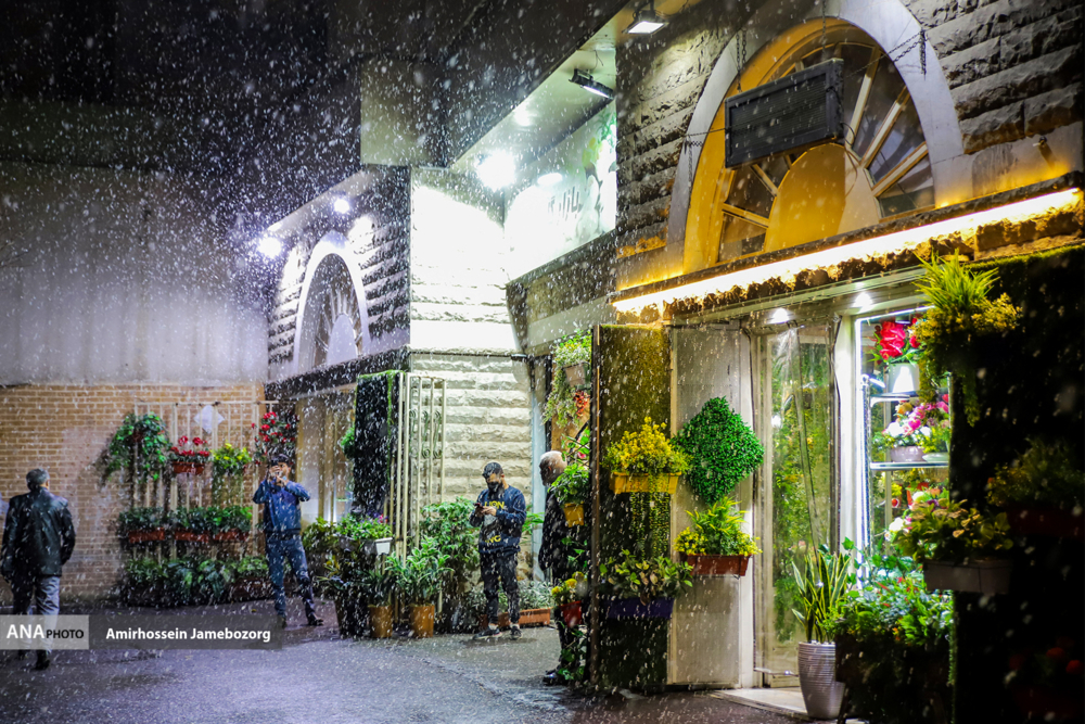 عکس/ بارش اولین برف زمستانی در تهران
