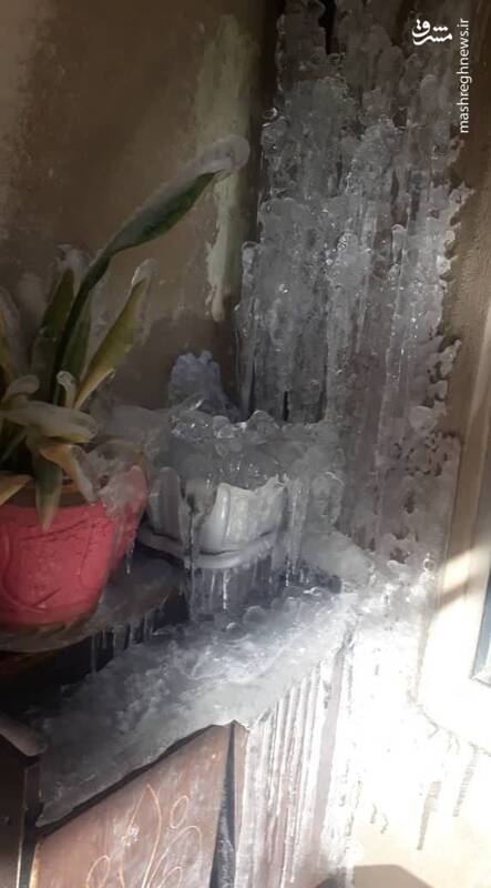  یخ زدن گلدان‌ها در شهرستان دهگلان